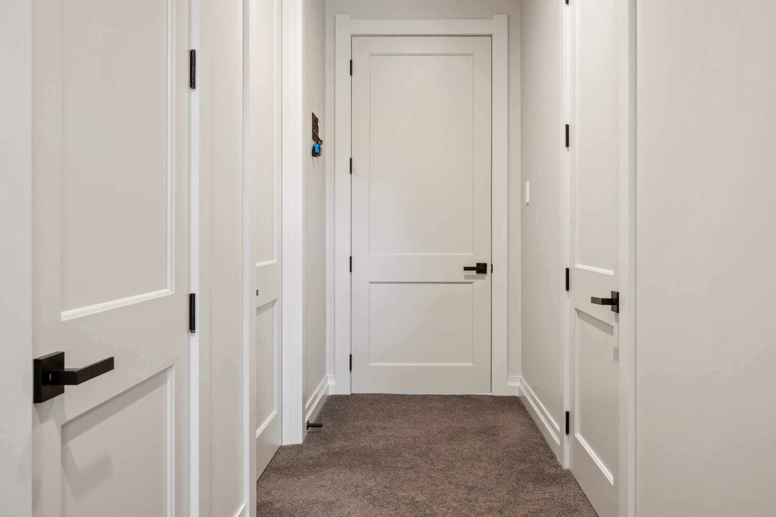 Which type of interior door should you choose: Solid Timber, Solid-core, or Hollow-core?