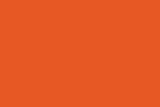 Rollicking Orange