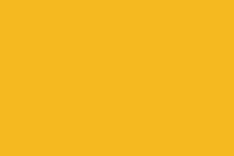 Sunflower Field