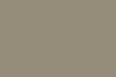 9156101M-Matt-Lichen